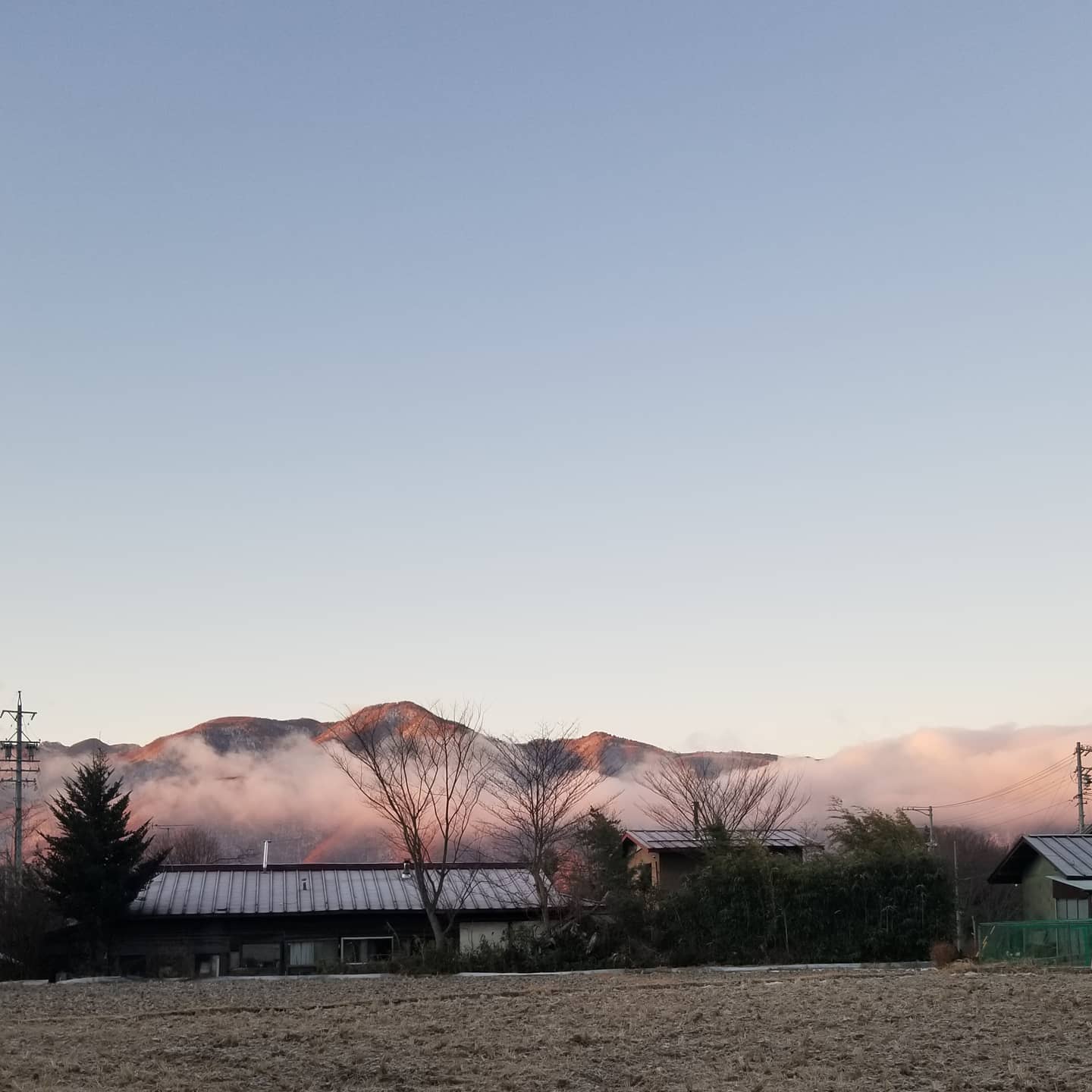 の朔日　雲は隣家の裏庭から湯気のように湧き出る、と思いそうな朝　BGMは鶏小屋から #八ヶ岳の空機嫌 #ひなぎくきつね